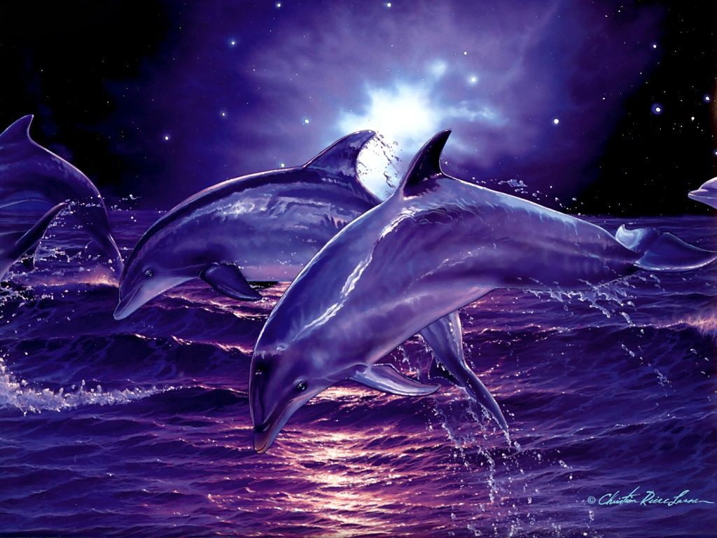 delfines