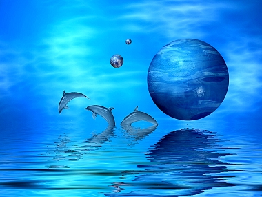 delfines