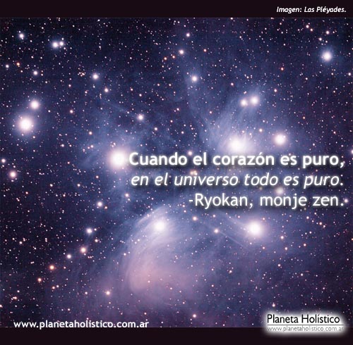 Frase Zen de Ryokan