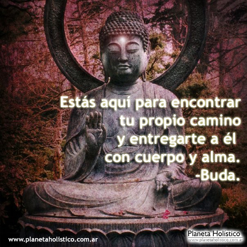 Frase de Buda