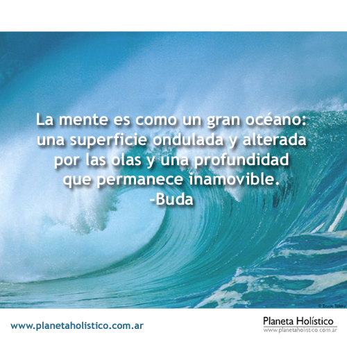 Frase de Buda