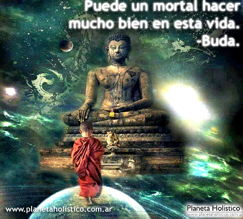 Frase de Buda