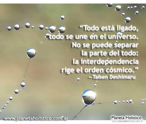 Frase Zen de Taisen Deshimaru