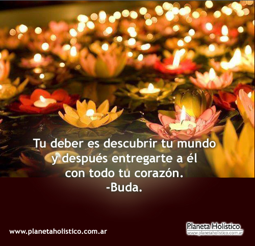 Frase de Buda - Tu deber es descubrir tu mundo