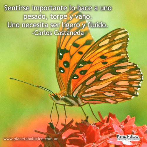 Frase de Carlos Castaneda