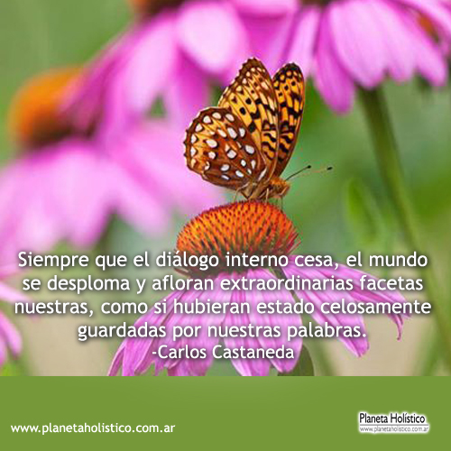 Frases de Carlos Castaneda