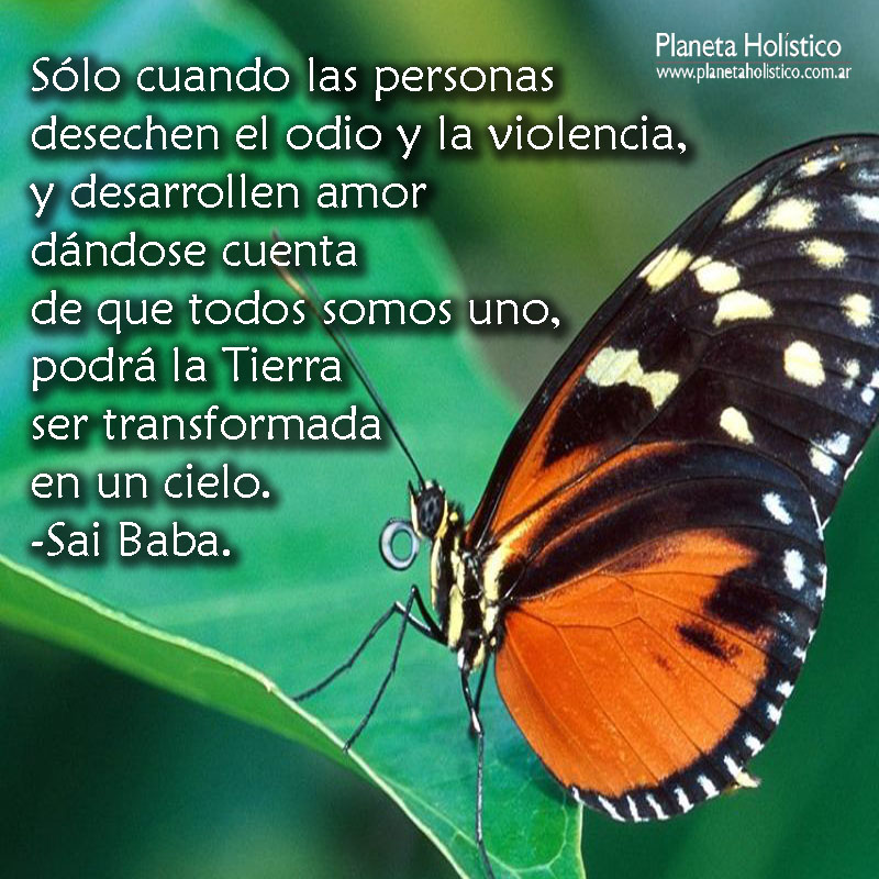 Frases de Sai Baba