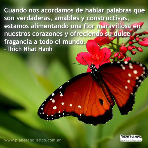 Frase de Thich Nhat Hanh