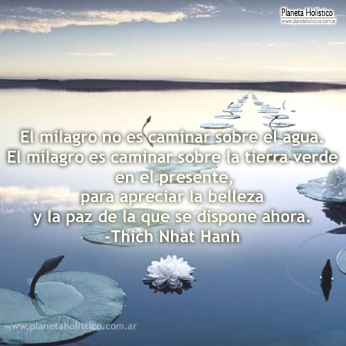 Frase de Thich Nhat Hanh