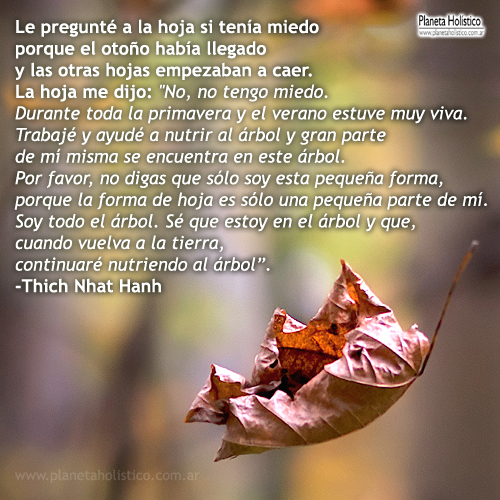 Frase de Thich Nhat Hanh