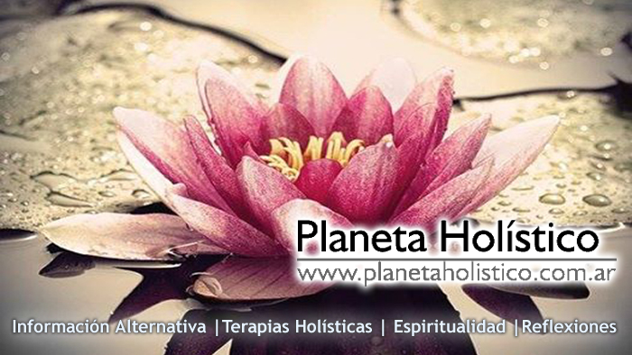 Planeta Holístico