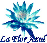 La Flor Azul