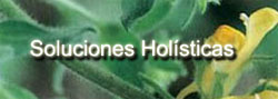 Soluciones Holisticas