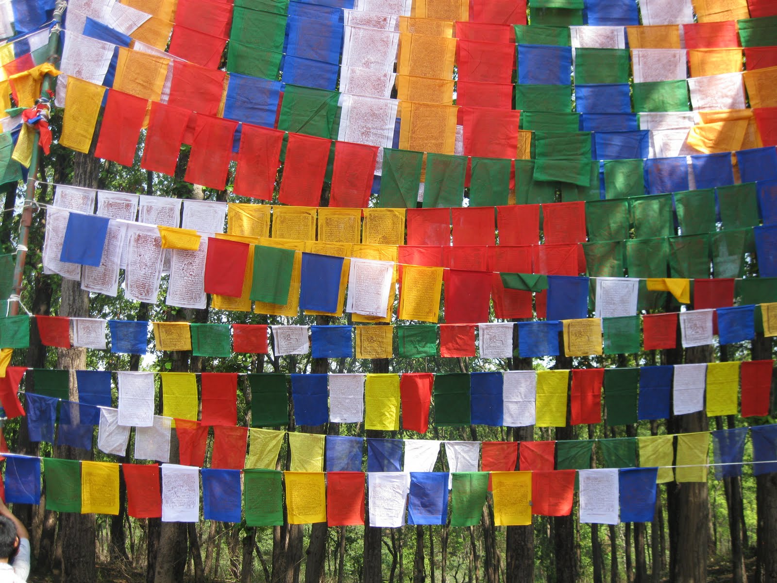 Lungtas - Banderas con mantras que son dispersados por el viento.