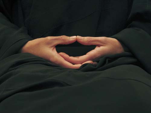 Zen - Budismo - Zazen - Hokkai Join- Mudra de la Meditación - Mudra Cósmico