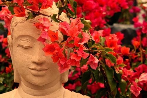 Zen - Budismo